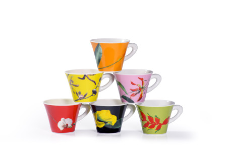 6 tasses à espresso Ice Cellars