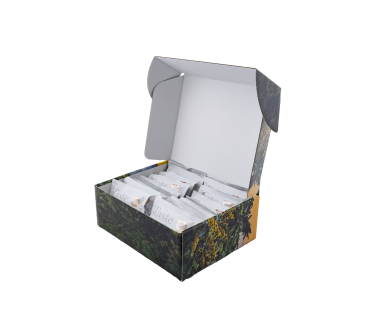 Discovery Box TEN assortiert
