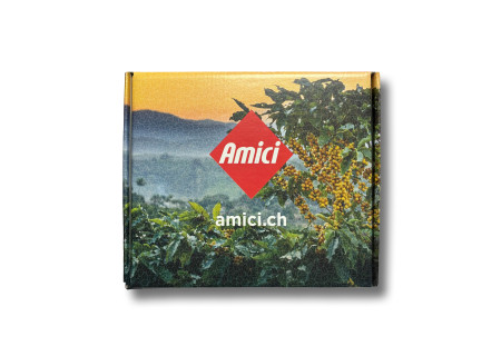 Discovery Box TEN assortiert