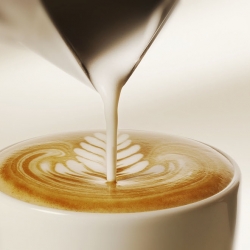 Pot à lait "Anniversario" en inox pour 6 tasses