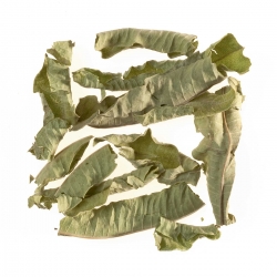 Verbena, Sachet Cristal®