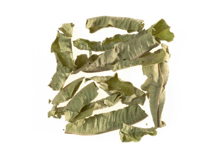 Verbena, Sachet Cristal®
