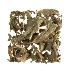 Pfefferminz, Sachet Cristal®