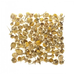 Camomile, Sachet Cristal®