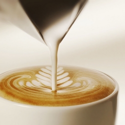 Pot à lait "Anniversario" en inox pour 3 tasses